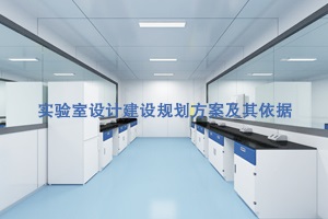 簡述實驗室設計建設規劃方案及其依據