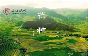 【節氣】今日芒種 ，一個生猛的節氣到了！保重身體別生病！